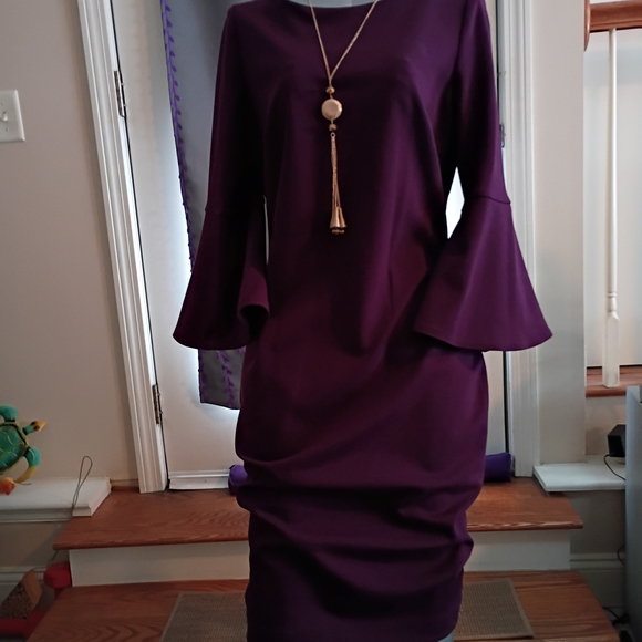 Calvin Klein Collection Dresses & Skirts - Calvin Klein Collection Plum Long Sleeve Dress